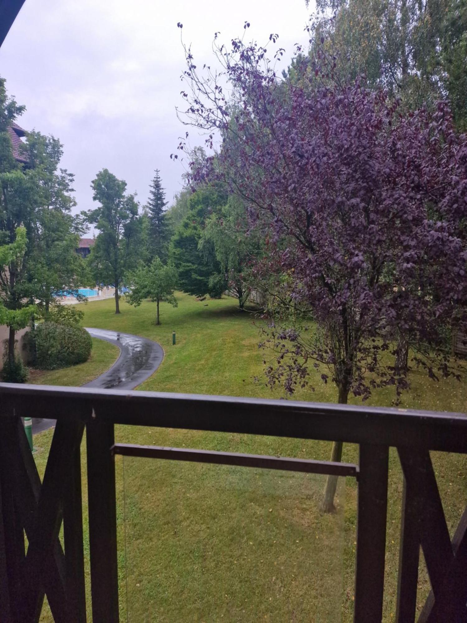 דוביל Appart 2 Chambres Piscine Chez Rox - Residence Du Golf מראה חיצוני תמונה